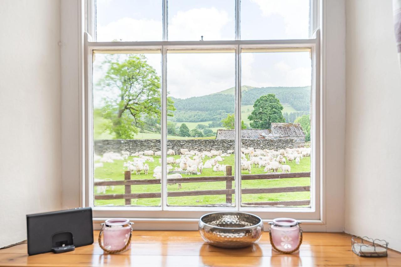 Llanfor Waedog Bach 빌라 외부 사진